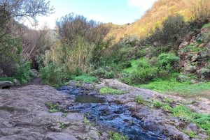 Gran Canaria: Ausflug zur Schlucht Barranco de los Cernícalos