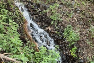 Gran Canaria: Ausflug zur Schlucht Barranco de los Cernícalos