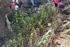 Gran Canaria: Ausflug zur Schlucht Barranco de los Cernícalos