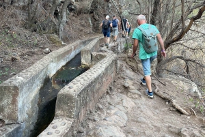 Gran Canaria: Ausflug zur Schlucht Barranco de los Cernícalos
