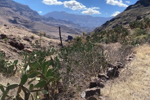 Gran Canaria: a trip to the Veneguera Valley