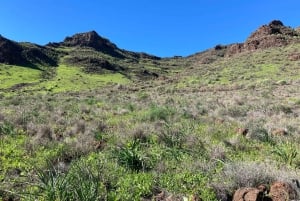 Gran Canaria: a trip to the Veneguera Valley