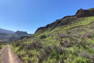 Gran Canaria: a trip to the Veneguera Valley