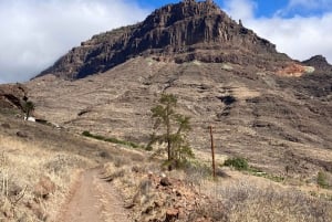 Gran Canaria: a trip to the Veneguera Valley
