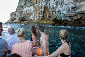 Gran Canaria: Cruzeiro de catamarã à tarde com comida e bebida