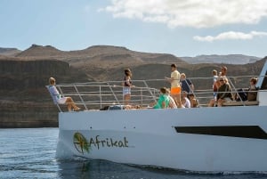 Gran Canaria: Cruzeiro de catamarã à tarde com comida e bebida