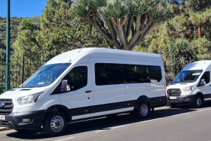 Gran Canaria: Agüimes, Gofio-mølle og økogårdsmatsmaking