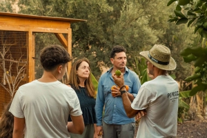 Gran Canaria: Agüimes, Gofio-mølle og økogårdsmatsmaking