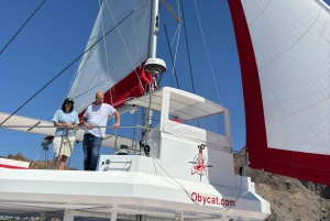 Gran Canaria: All-inclusive tour in the south of Gran Canaria