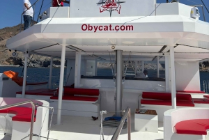 Gran Canaria: All-inclusive tour in the south of Gran Canaria