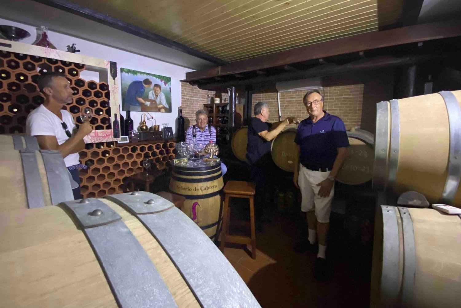 Gran Canaria: Best Wineries and Views Tour