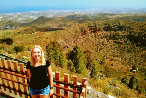 Gran Canaria: Best Wineries and Views Tour