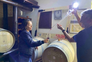 Gran Canaria: Best Wineries and Views Tour