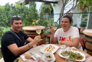 Gran Canaria: Best Wineries and Views Tour