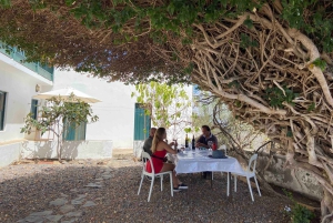 Gran Canaria: Best Wineries and Views Tour