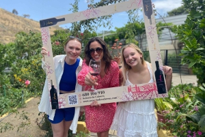 Gran Canaria: Best Wineries and Views Tour