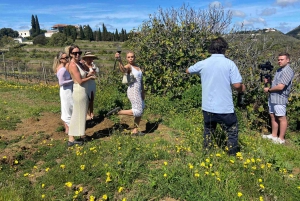 Gran Canaria: Best Wineries and Views Tour