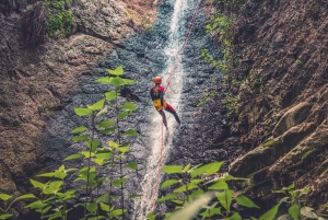Gran Canaria: Canyoning in the Rainforest