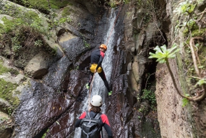 Gran Canaria: Canyoning in the Rainforest