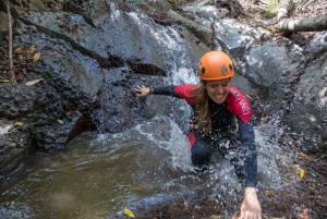 Gran Canaria: Canyoning in the Rainforest