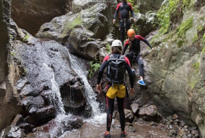 Gran Canaria: Canyoning in the Rainforest