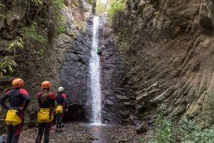 Gran Canaria: Canyoning in the Rainforest