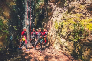 Gran Canaria: Canyoning in the Rainforest