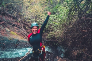 Gran Canaria: Canyoning in the Rainforest