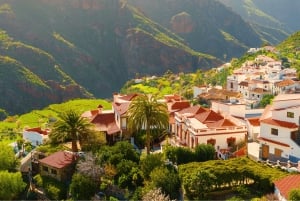Gran Canaria DeLuxe: ROMANTISK DAG FOR PAR OG FAMILIER!