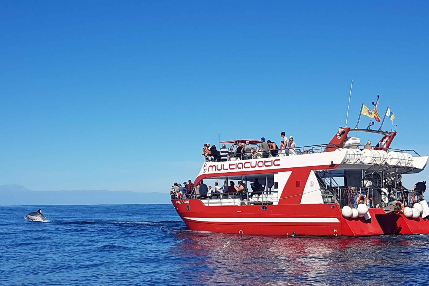 Gran Canaria Delfinsafari och ett dopp