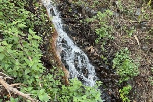 Gran Canaria: excursion to the Barranco de los Cernícalos