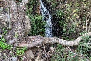 Gran Canaria: excursion to the Barranco de los Cernícalos