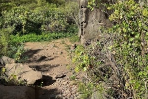 Gran Canaria: excursion to the Barranco de los Cernícalos