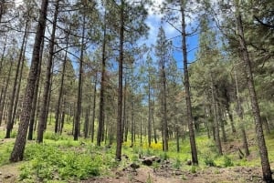 Гран-Канария: экскурсия в Вентана-дель-Нубло