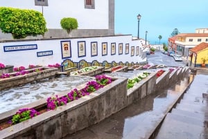 Gran Canaria: Full-Day VIP Tour by Bus