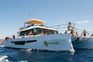 Gran Canaria: Fun Catamaran Cruise with Food and Drinks