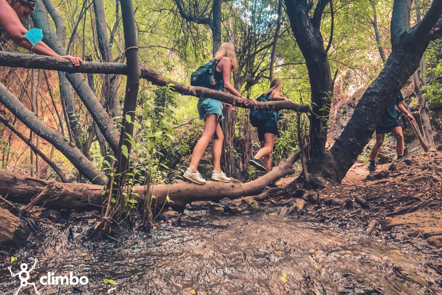 Gran Canaria: Guided Day Tour to Rainforest with Tasting