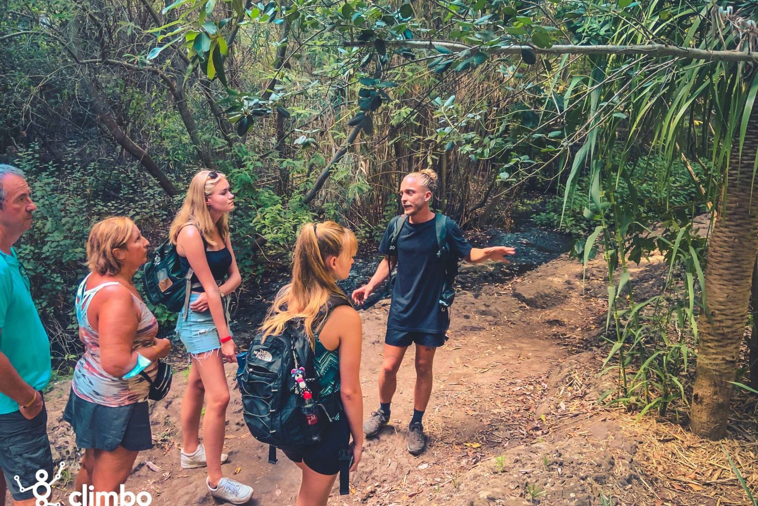 Gran Canaria: Guided Day Tour to Rainforest with Tasting