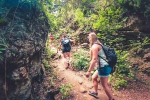 Gran Canaria: Guided Day Tour to Rainforest with Tasting