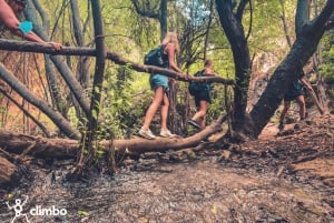 Gran Canaria: Guided Day Tour to Rainforest with Tasting