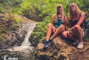 Gran Canaria: Guided Day Tour to Rainforest with Tasting