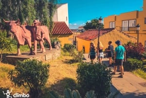 Gran Canaria: Guided Day Tour to Rainforest with Tasting