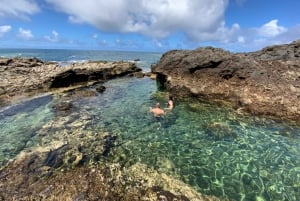 Gran Canaria: Guided Day Tour to Rainforest with Tasting