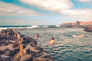 Gran Canaria: Guided Day Tour to Rainforest with Tasting