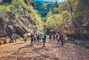 Gran Canaria: Guided Day Tour to Rainforest with Tasting