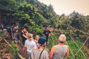 Gran Canaria: Guided Day Tour to Rainforest with Tasting