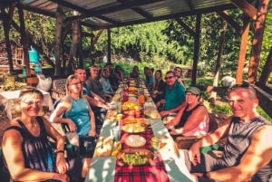 Gran Canaria: Guided Day Tour to Rainforest with Tasting