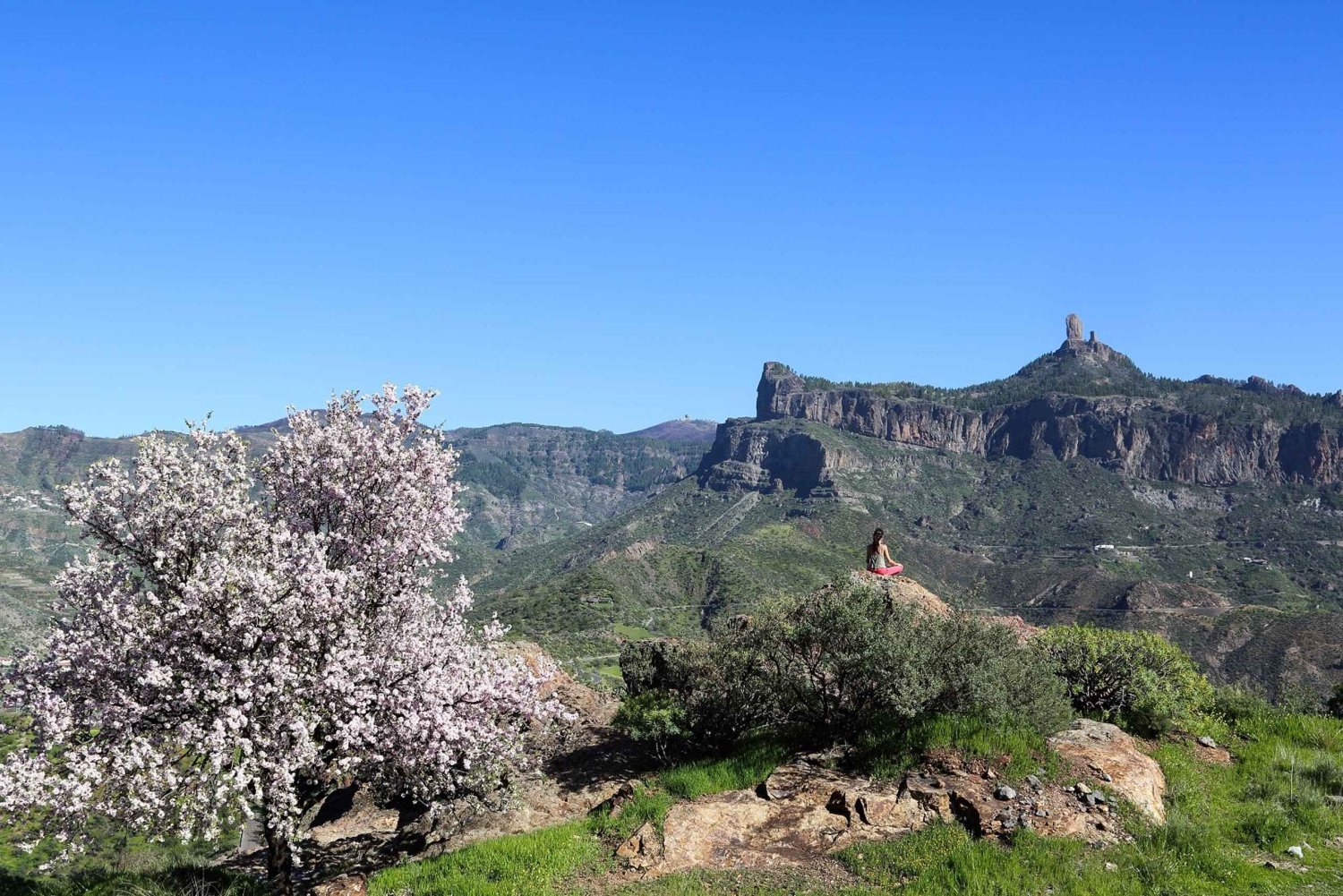 Gran Canaria Highlights Full-Day Tour by Bus