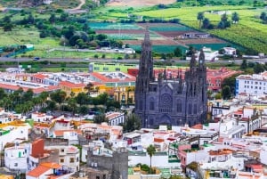 Gran Canaria Highlights Full-Day Tour by Bus