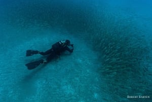 Gran Canaria:Live an Adventure and Learn to Dive with Expert